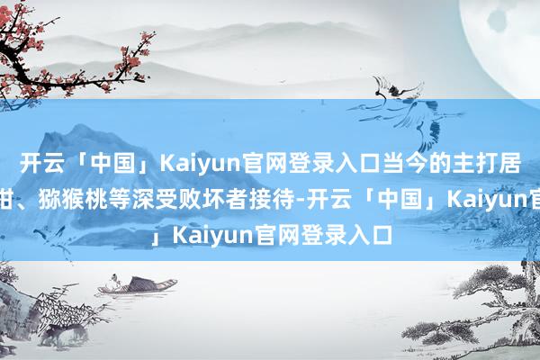 开云「中国」Kaiyun官网登录入口当今的主打居品蒲江耙耙柑、猕猴桃等深受败坏者接待-开云「中国」Kaiyun官网登录入口