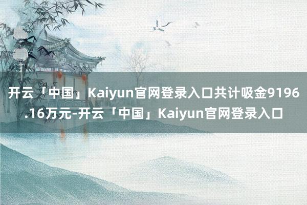 开云「中国」Kaiyun官网登录入口共计吸金9196.16万元-开云「中国」Kaiyun官网登录入口