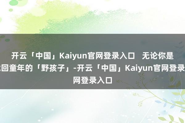 开云「中国」Kaiyun官网登录入口   无论你是想找回童年的「野孩子」-开云「中国」Kaiyun官网登录入口