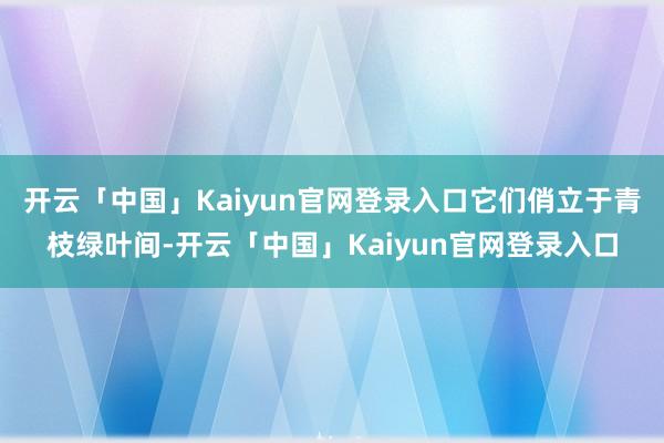 开云「中国」Kaiyun官网登录入口它们俏立于青枝绿叶间-开云「中国」Kaiyun官网登录入口
