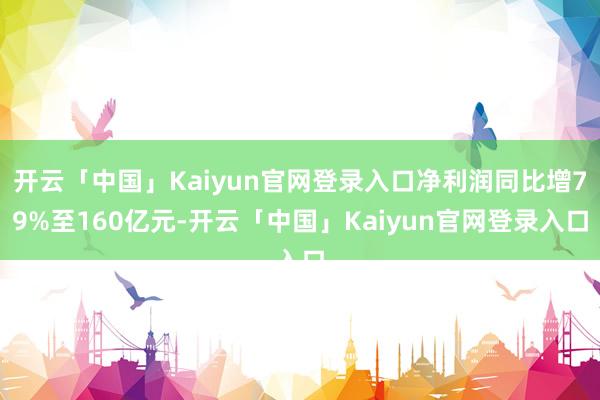 开云「中国」Kaiyun官网登录入口净利润同比增79%至160亿元-开云「中国」Kaiyun官网登录入口