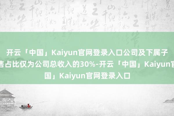 开云「中国」Kaiyun官网登录入口公司及下属子公司境外售售占比仅为公司总收入的30%-开云「中国」Kaiyun官网登录入口