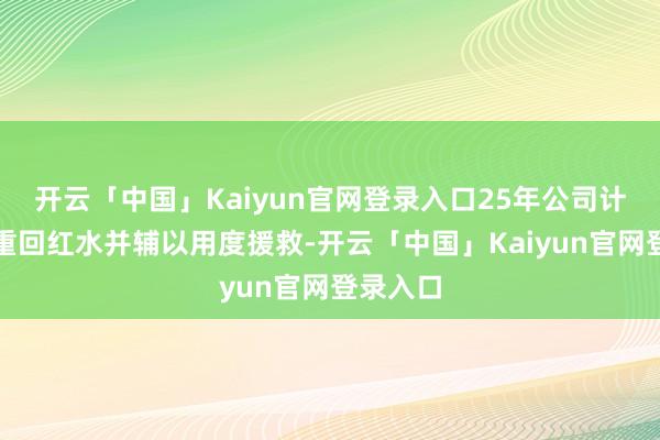 开云「中国」Kaiyun官网登录入口25年公司计较要点重回红水并辅以用度援救-开云「中国」Kaiyun官网登录入口