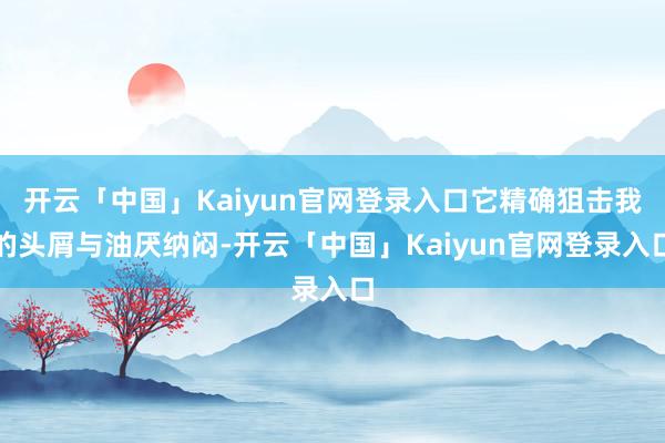 开云「中国」Kaiyun官网登录入口它精确狙击我的头屑与油厌纳闷-开云「中国」Kaiyun官网登录入口