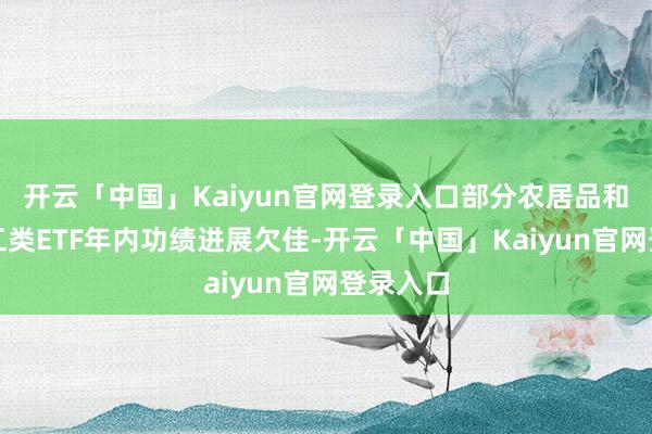 开云「中国」Kaiyun官网登录入口部分农居品和动力化工类ETF年内功绩进展欠佳-开云「中国」Kaiyun官网登录入口