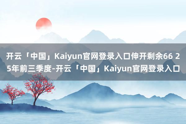 开云「中国」Kaiyun官网登录入口伸开剩余66 25年前三季度-开云「中国」Kaiyun官网登录入口